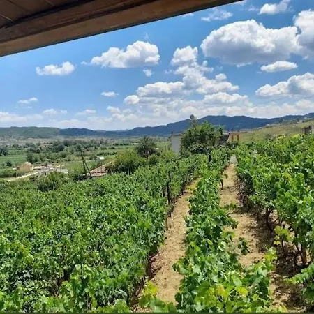 ゲストハウス Shehi And Winery *