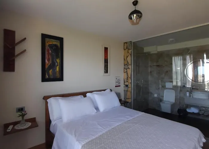 招待所 Shehi And Winery *