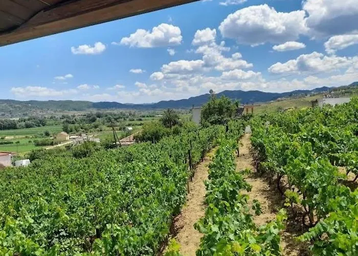 招待所 Shehi And Winery *