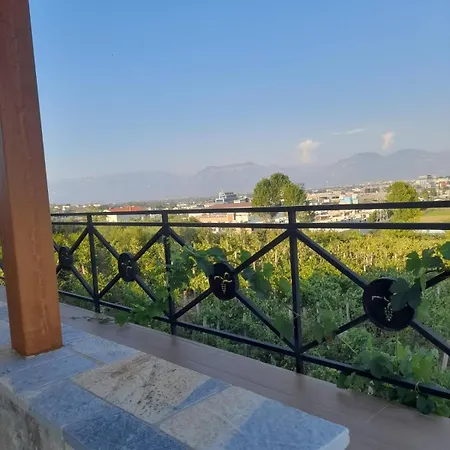 Shehi And Winery Guest house