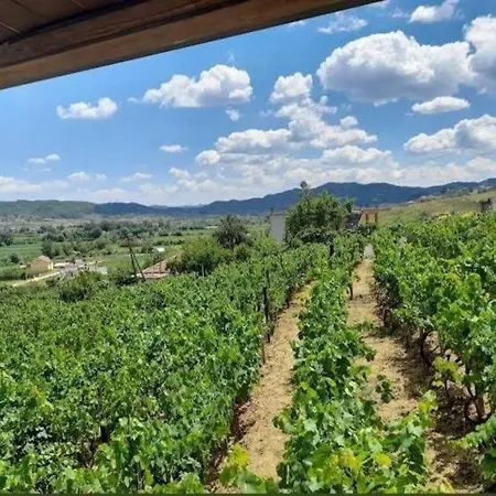 Shehi And Winery Pensión Mucaj