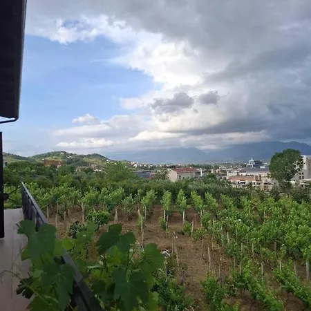 Shehi And Winery Pensión